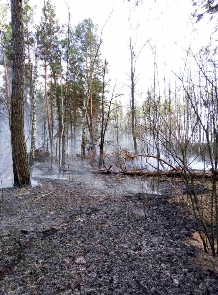 IMG 469efec0a7bbb7c492132984d4a7665d V