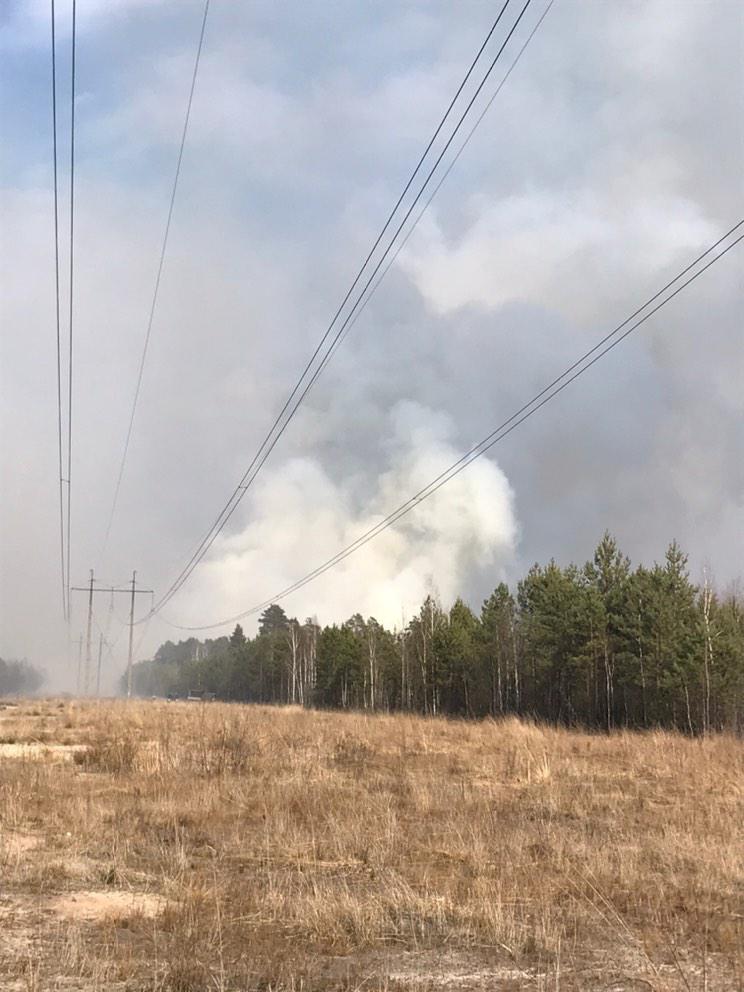 IMG a734dfdac80f7d7346b8bb162d770d3d V