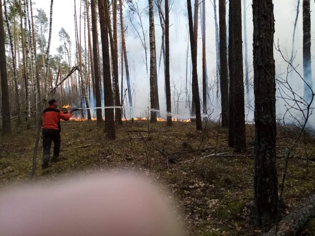 IMG affbd789e3fde143842ff06a0ba1a546 V