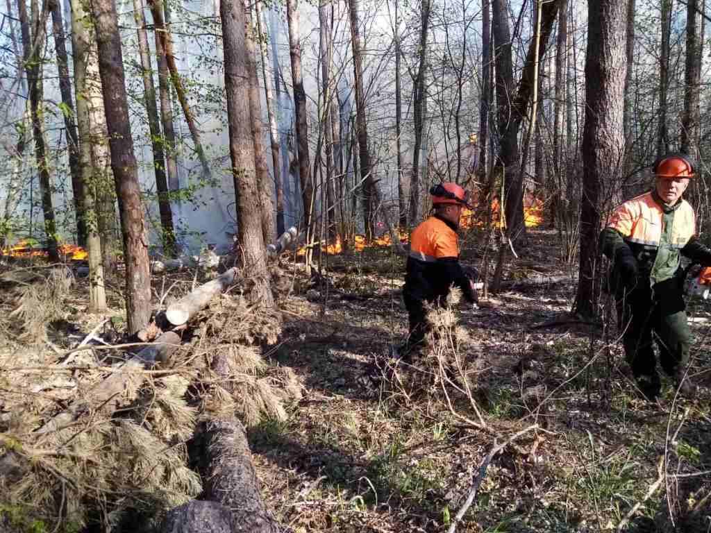 IMG e92bf1bf5bfa355b3f151455b72d2818 V