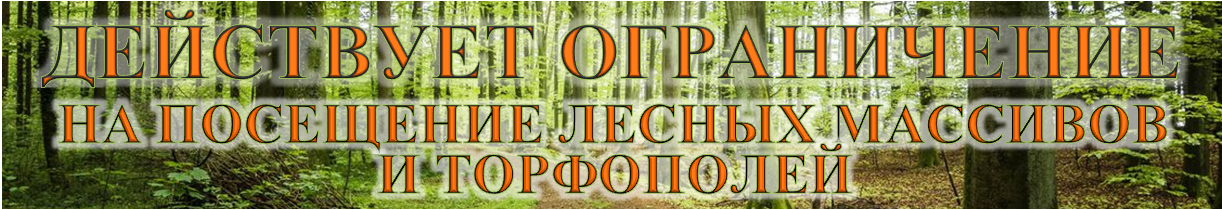 Ogranicheniya na poseschenie lesa