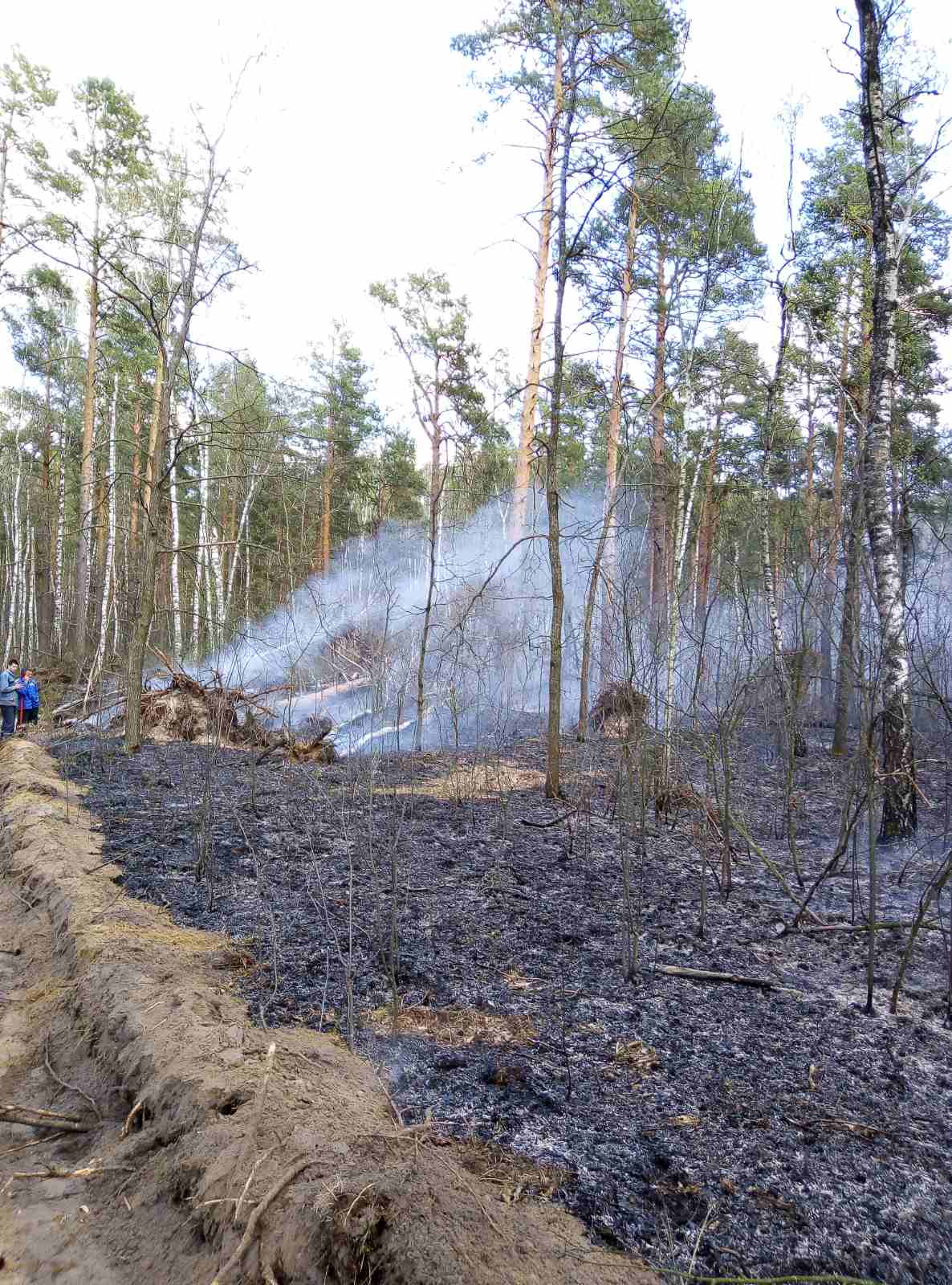 IMG a6d024f96c4bb8cf3e550441550e68a5 V