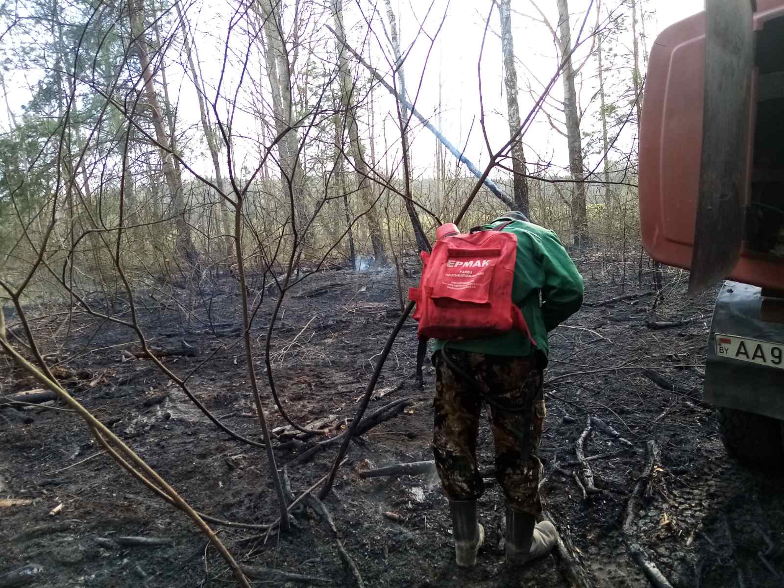 IMG c17a61feb50b870885ad64699cdff5f3 V