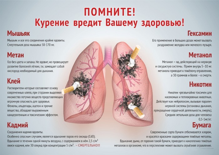 smoke 2 700x495 equal